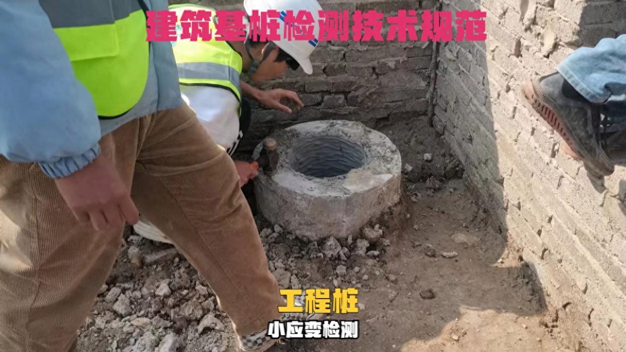 工程桩基技术检测主要进行哪两种检测，如何进行检测？