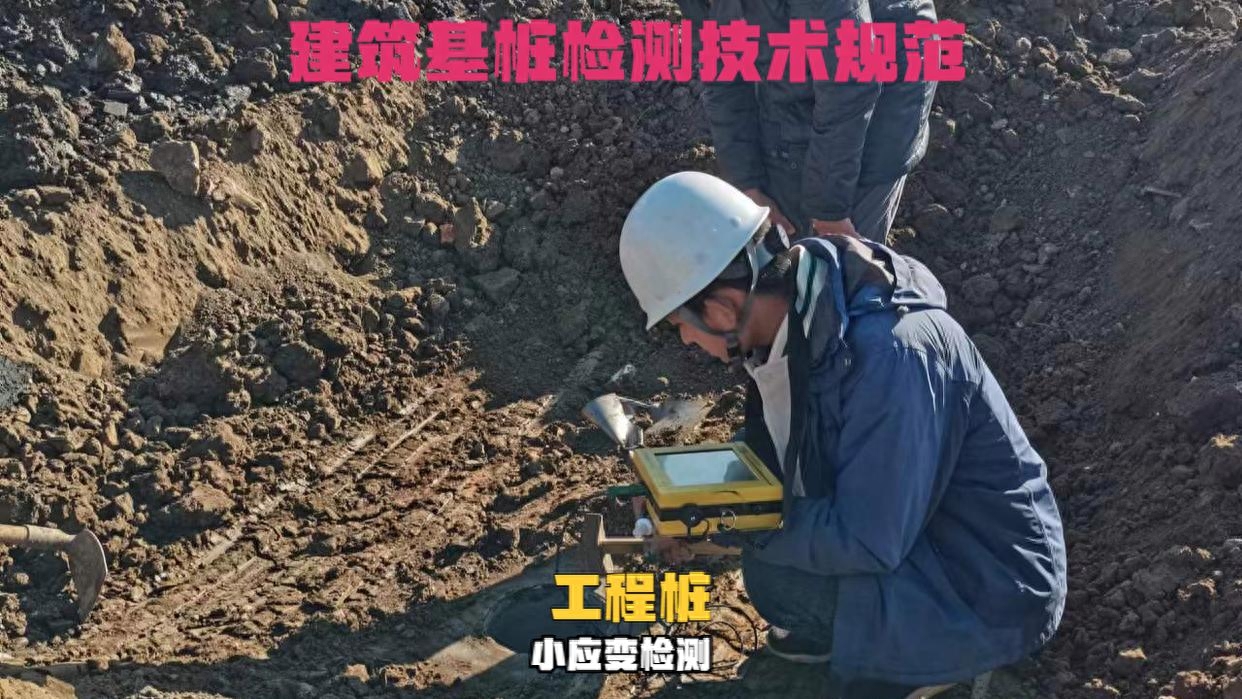 工程桩基技术检测主要进行哪两种检测，如何进行检测？