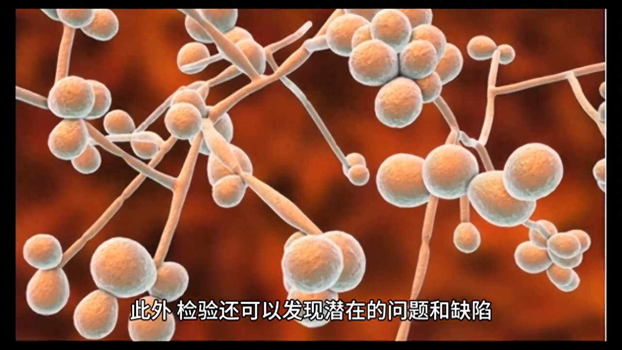 检测与检验实验的区别