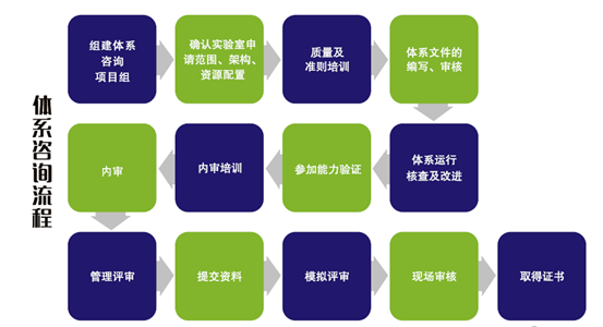 体系咨询