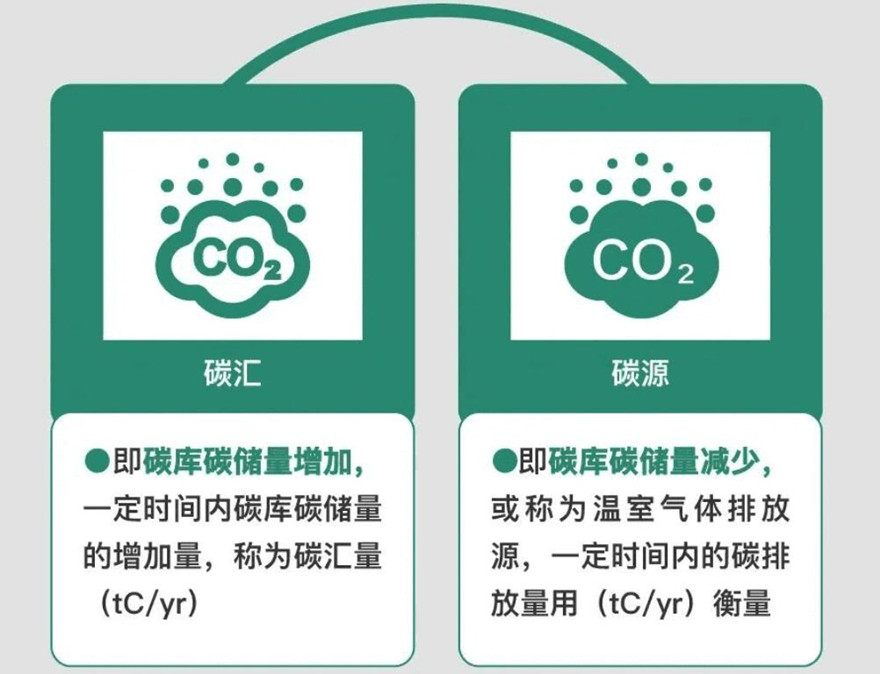 林业碳汇