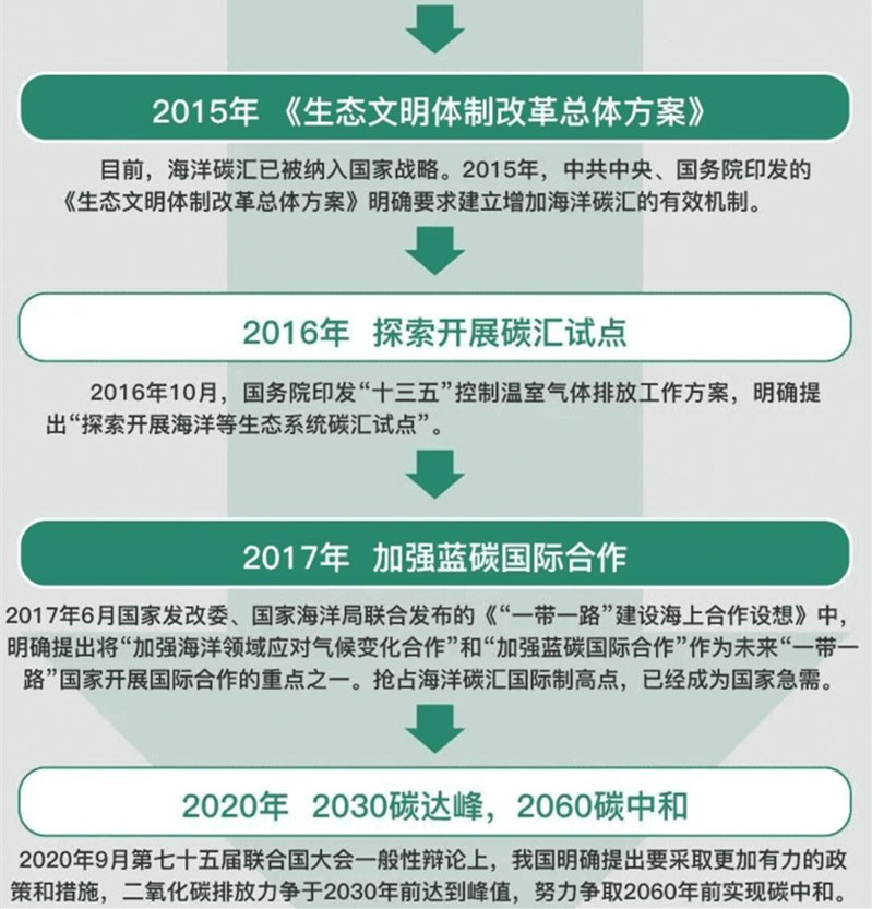 林业碳汇