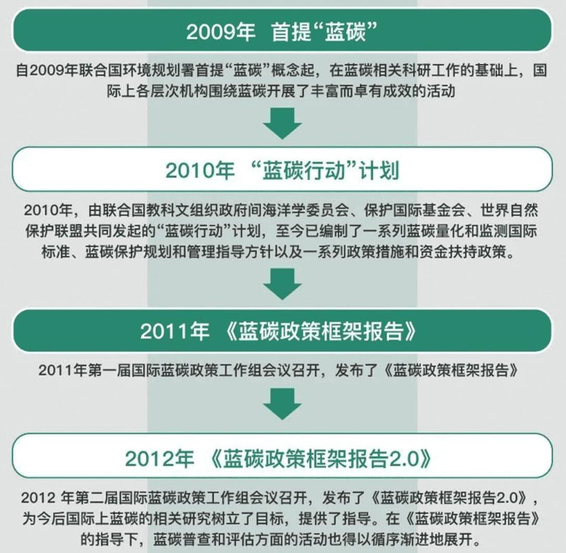 林业碳汇