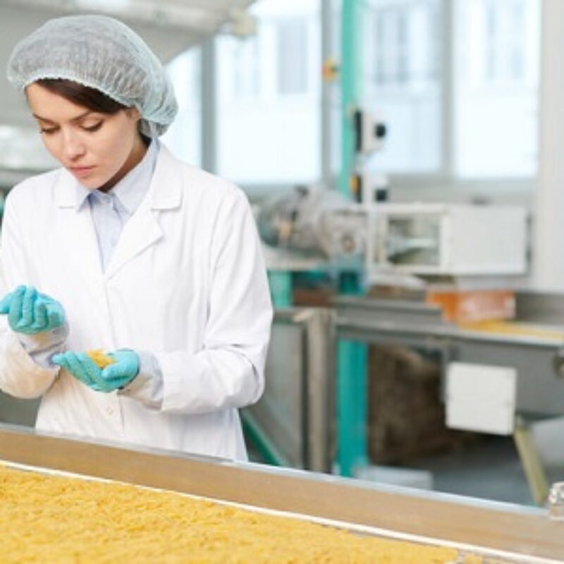 食品安全管理体系认证（ISO/HACCP/BRC/FSSC）