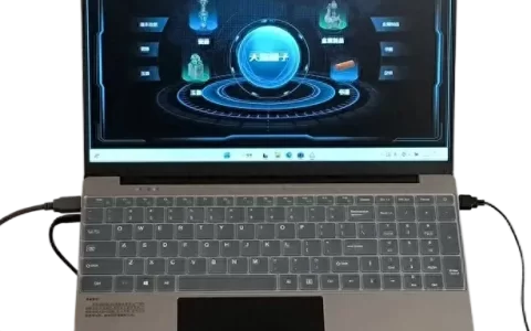 严谨的古代艺术品年代检测